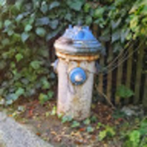 Meet your Posher, Sally